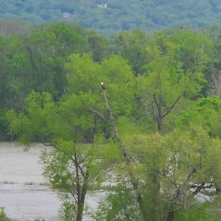 Williams Island Room At Tennessee Riverplace チャタヌーガ エクステリア 写真