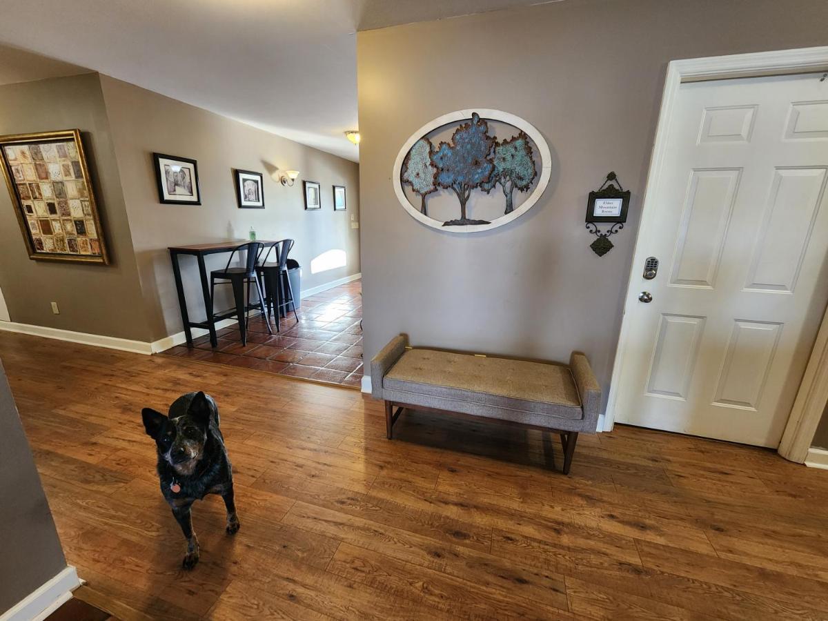 Williams Island Room At Tennessee Riverplace チャタヌーガ エクステリア 写真